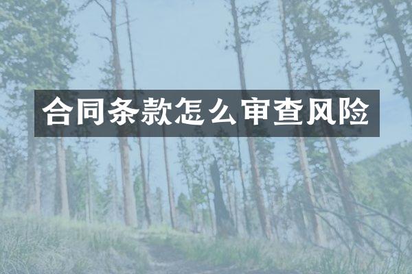 合同条款怎么审查风险