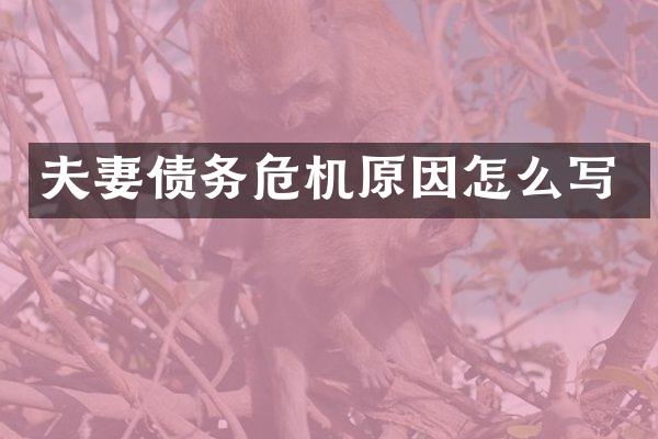 夫妻债务危机原因怎么写
