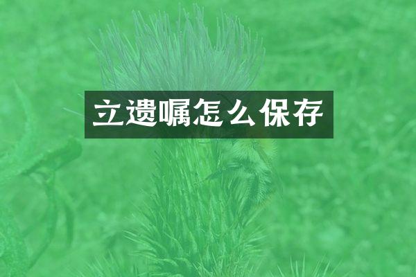立遗嘱怎么保存