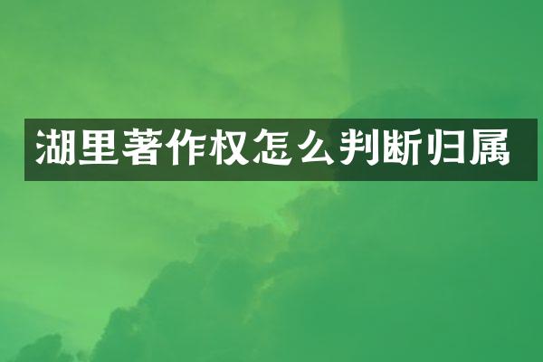 湖里著作权怎么判断归属