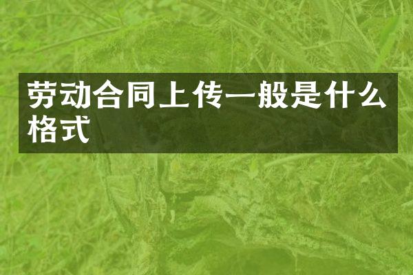 劳动合同上传一般是什么格式