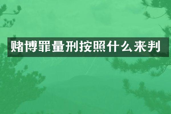 罪量刑按照什么来判