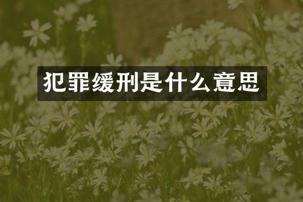 犯罪缓刑是什么意思