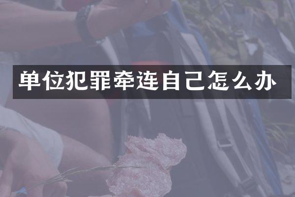 单位犯罪牵连自己怎么办