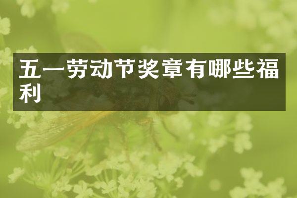 五一劳动节奖章有哪些福利