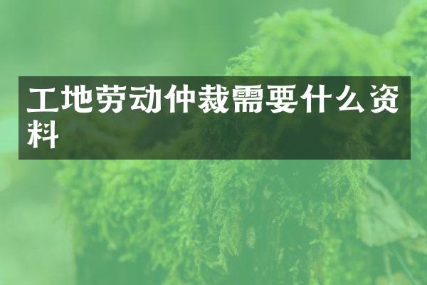工地劳动仲裁需要什么资料