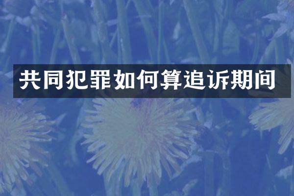 共同犯罪如何算追诉期间