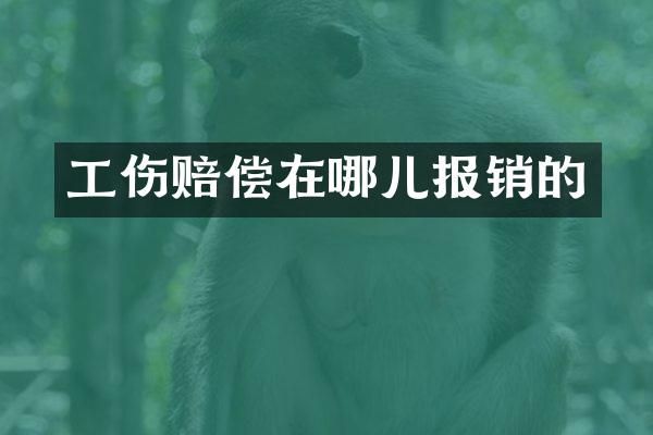 工伤赔偿在哪儿报销的