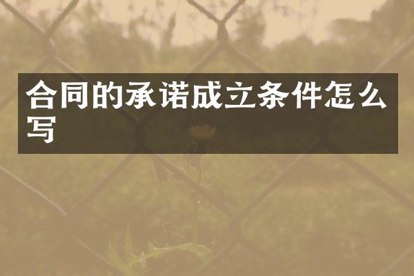 合同的承诺成立条件怎么写