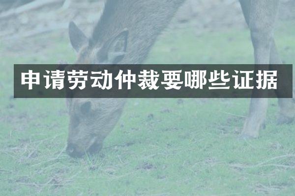 申请劳动仲裁要哪些证据