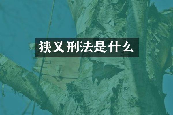 狭义刑法是什么