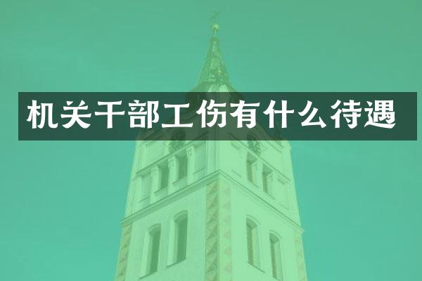 机关干部工伤有什么待遇
