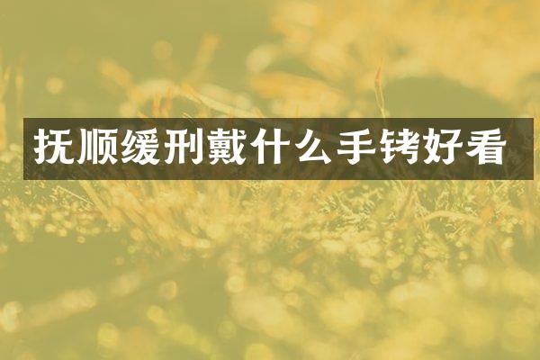 抚顺缓刑戴什么手铐好看