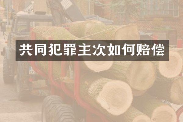 共同犯罪主次如何赔偿