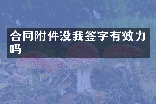 合同附件没我签字有效力吗