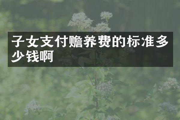 子女支付赡养费的标准多少钱啊