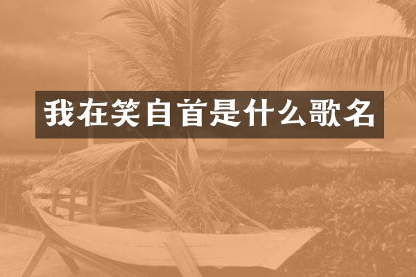 我在笑自首是什么歌名