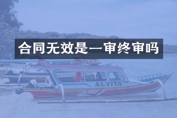 合同无效是一审终审吗