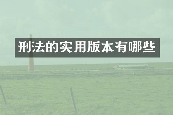 刑法的实用版本有哪些