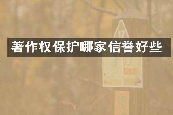 著作权保护哪家信誉好些