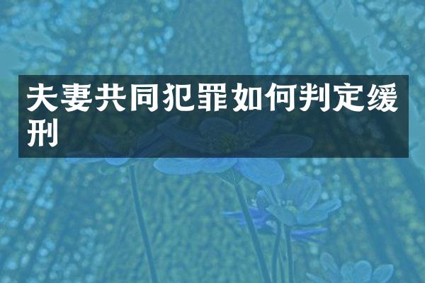 夫妻共同犯罪如何判定缓刑