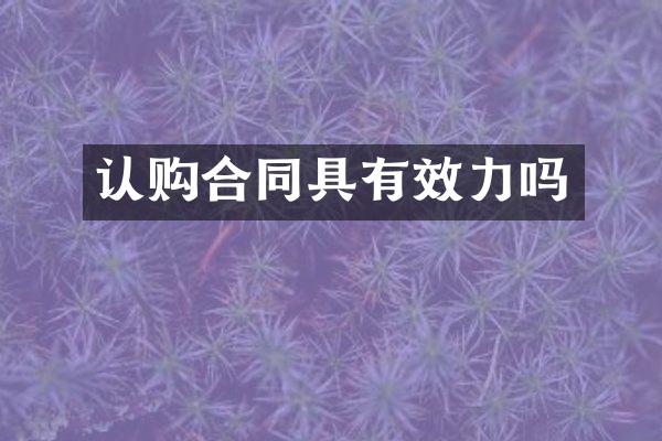 认购合同具有效力吗