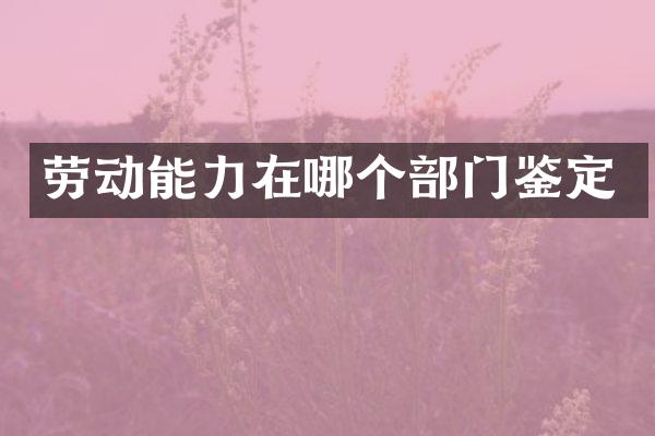 劳动能力在哪个部门鉴定