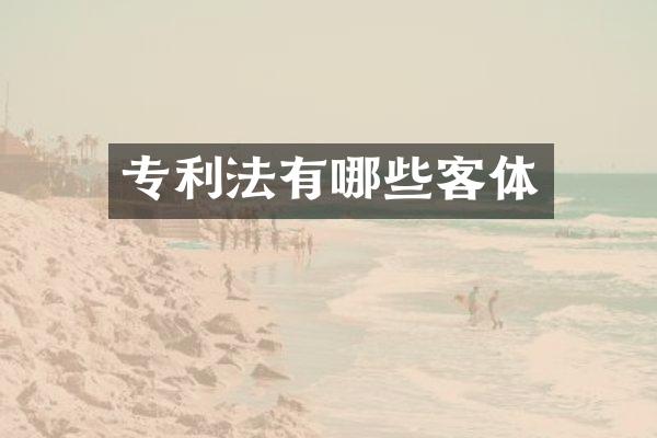 专利法有哪些客体