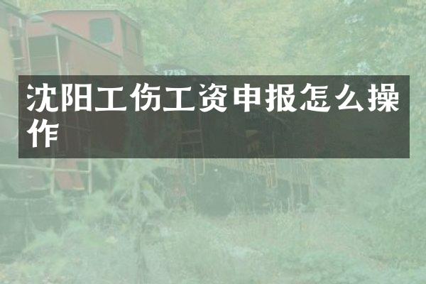 沈阳工伤工资申报怎么操作