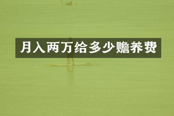 月入两万给多少赡养费