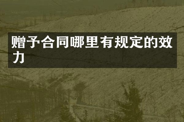 赠予合同哪里有规定的效力