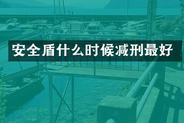 安全盾什么时候减刑最好