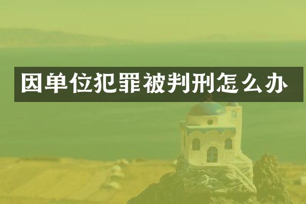 因单位犯罪被判刑怎么办