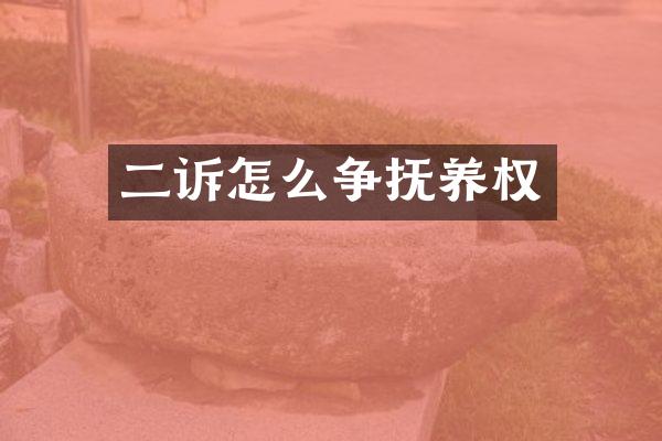 二诉怎么争抚养权