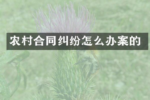 农村合同纠纷怎么办案的