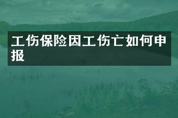 工伤保险因工伤亡如何申报
