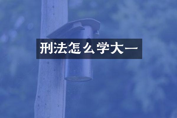 刑法怎么学大一
