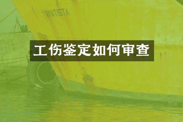 工伤鉴定如何审查