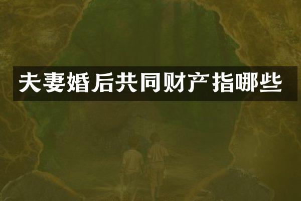 夫妻婚后共同财产指哪些