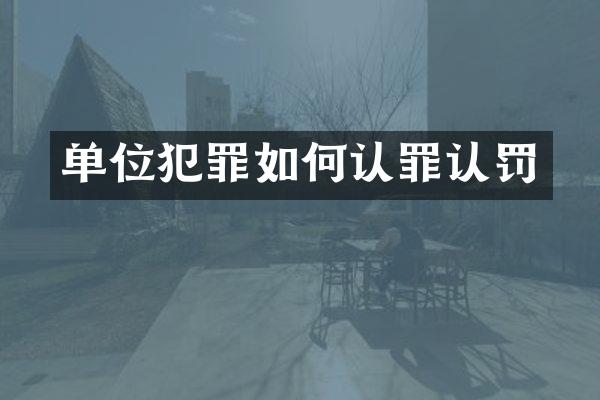 单位犯罪如何认罪认罚