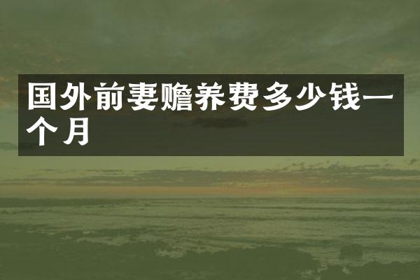 国外前妻赡养费多少钱一个月