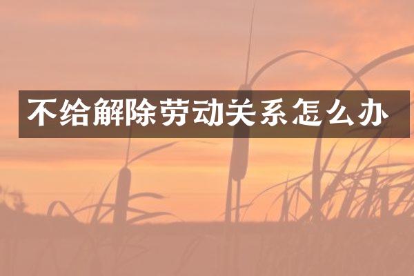 不给解除劳动关系怎么办