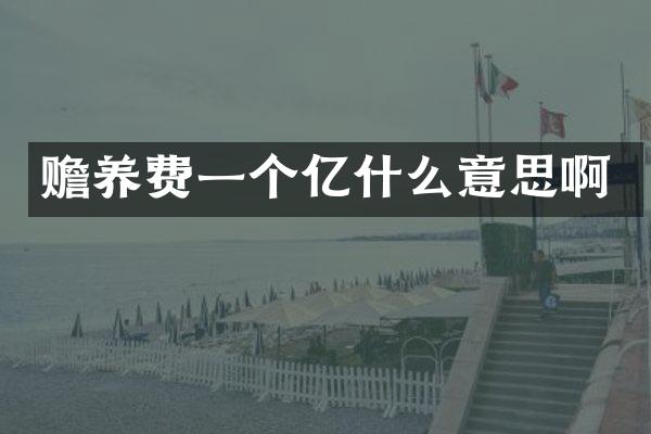 赡养费一个亿什么意思啊