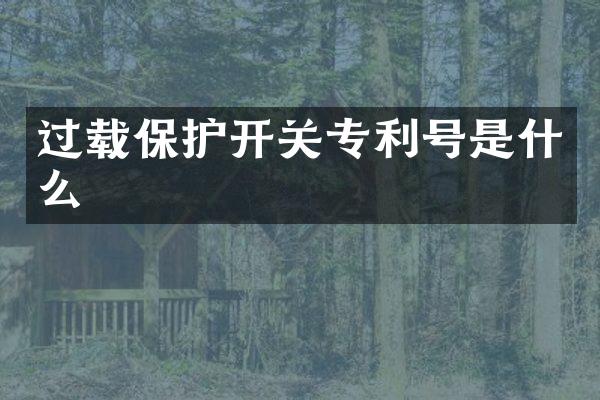 过载保护开关专利号是什么