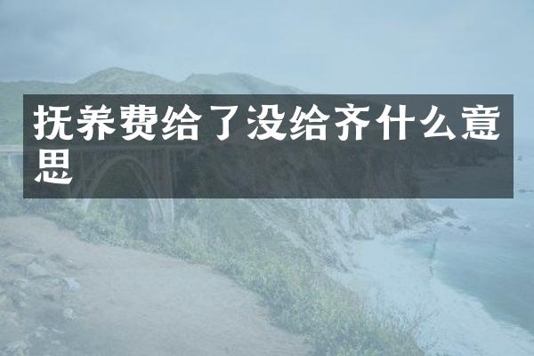 抚养费给了没给齐什么意思