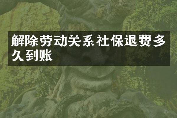 解除劳动关系社保退费多久到账