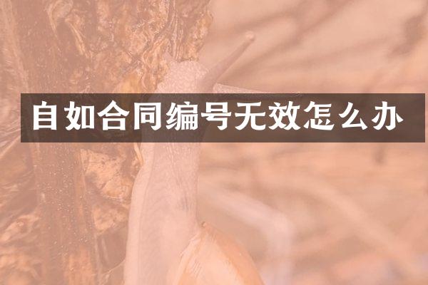 自如合同编号无效怎么办