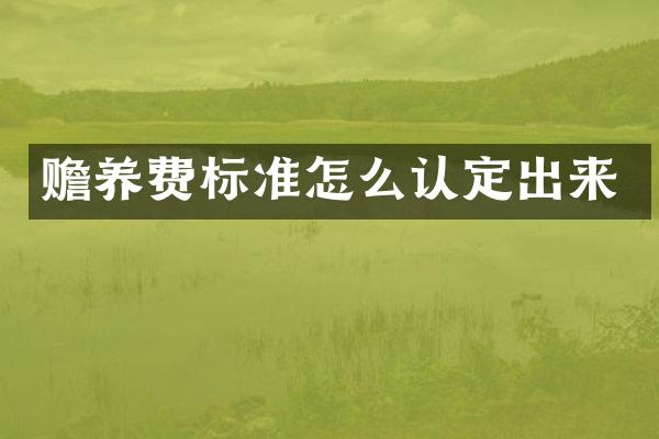 赡养费标准怎么认定出来