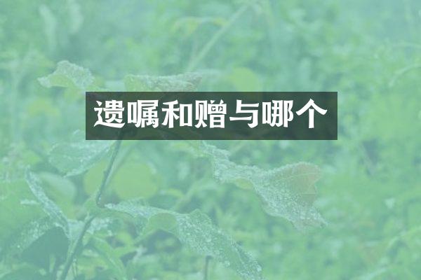 遗嘱和赠与哪个