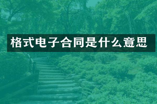 格式电子合同是什么意思